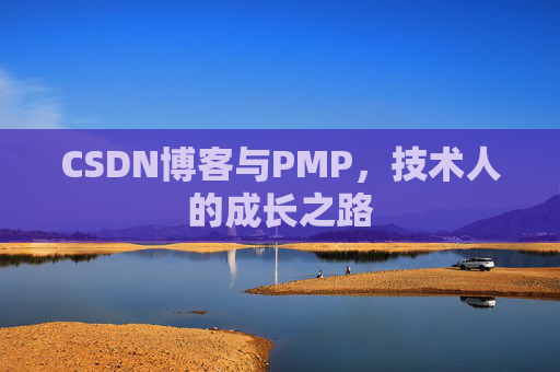 CSDN博客与PMP,技术人的成长之路