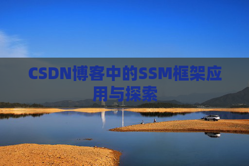 CSDN博客中的SSM框架应用与探索